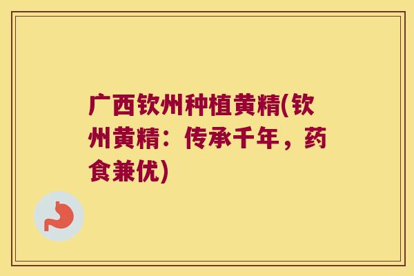 广西钦州种植黄精(钦州黄精：传承千年，药食兼优)