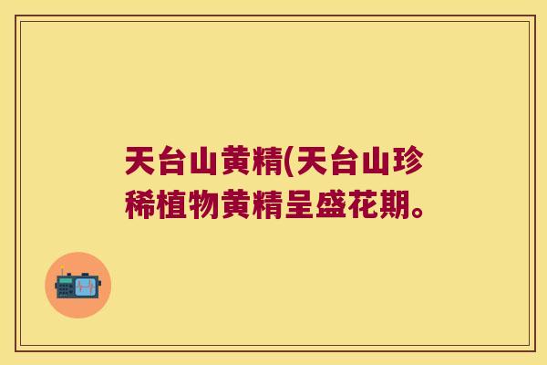 天台山黄精(天台山珍稀植物黄精呈盛花期。 天台山黄精(天台山珍稀植物黄精呈盛花期。
