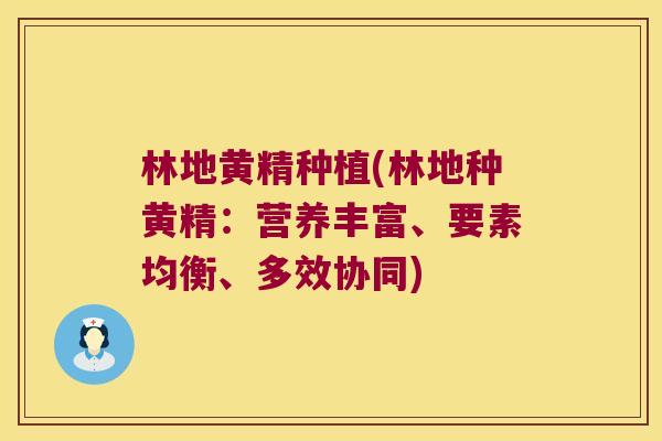 林地黄精种植(林地种黄精:营养丰富、要素均衡、多效协同) 林地黄精种植(林地种黄精:营养丰富、要素均衡、多效协同)
