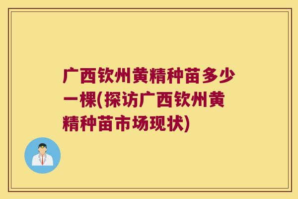 广西钦州黄精种苗多少一棵(探访广西钦州黄精种苗市场现状)