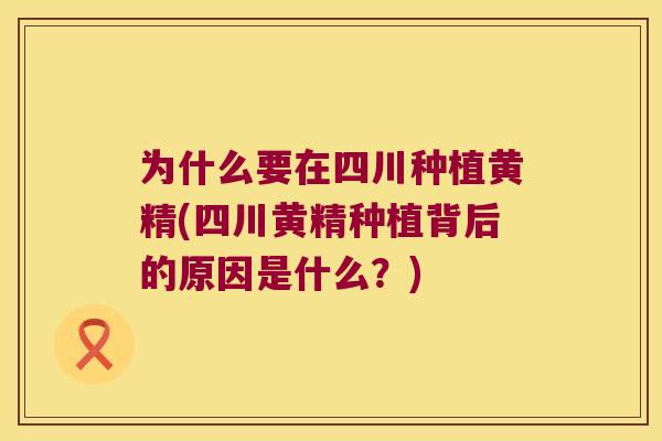 为什么要在四川种植黄精(四川黄精种植背后的原因是什么？)