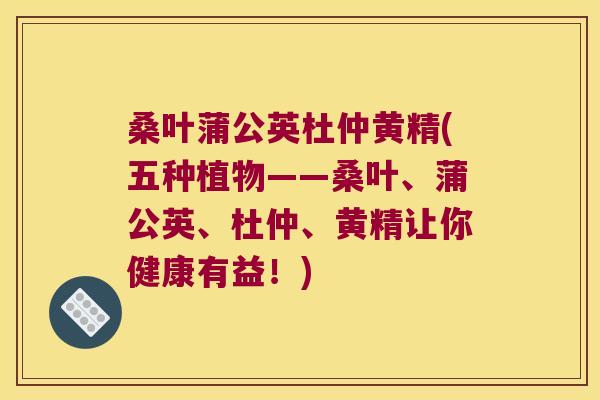 桑叶蒲公英杜仲黄精(五种植物——桑叶、蒲公英、杜仲、黄精让你健康有益!) 桑叶蒲公英杜仲黄精(五种植物——桑叶、蒲公英、杜仲、黄精让你健康有益!)