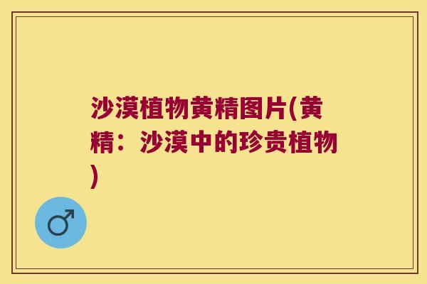 沙漠植物黄精图片(黄精:沙漠中的珍贵植物) 沙漠植物黄精图片(黄精:沙漠中的珍贵植物)