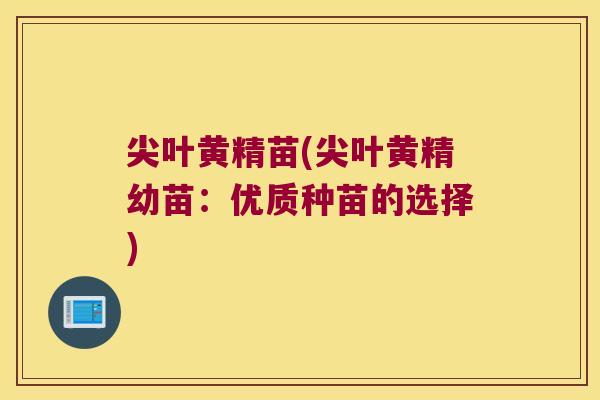 尖叶黄精苗(尖叶黄精幼苗：优质种苗的选择)