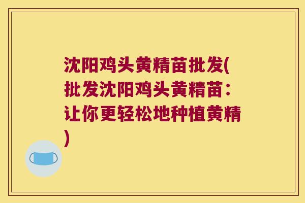 沈阳鸡头黄精苗批发(批发沈阳鸡头黄精苗：让你更轻松地种植黄精)