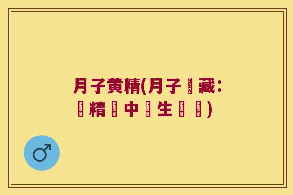 月子黄精(月子寶藏:黃精從中養生關鍵) 月子黄精(月子寶藏:黃精從中養生關鍵)