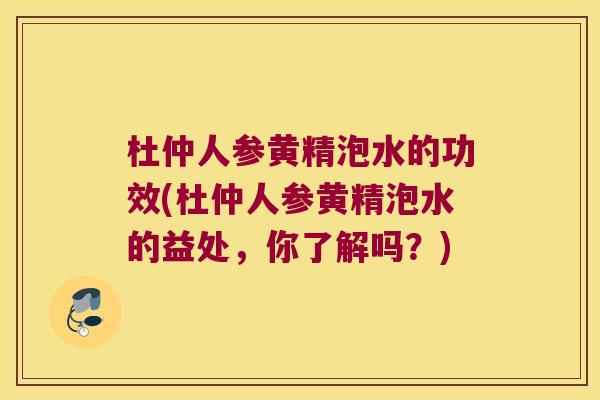 杜仲人参黄精泡水的功效(杜仲人参黄精泡水的益处，你了解吗？)