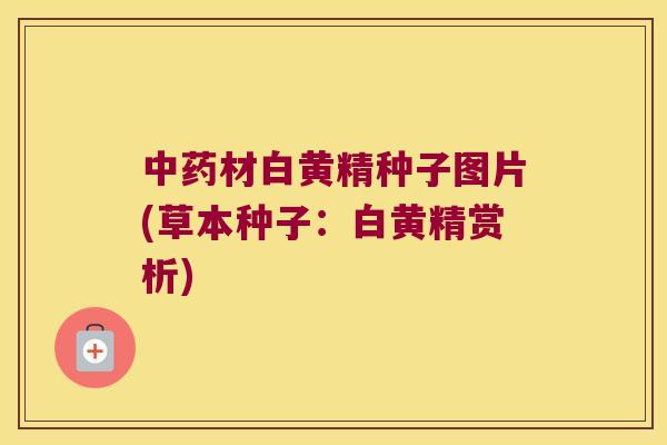 材白黄精种子图片(草本种子：白黄精赏析)