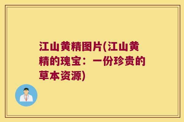 江山黄精图片(江山黄精的瑰宝:一份珍贵的草本资源) 江山黄精图片(江山黄精的瑰宝:一份珍贵的草本资源)