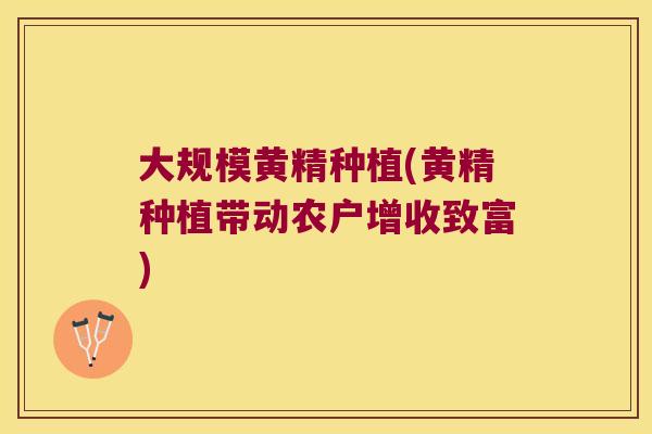 大规模黄精种植(黄精种植带动农户增收致富)