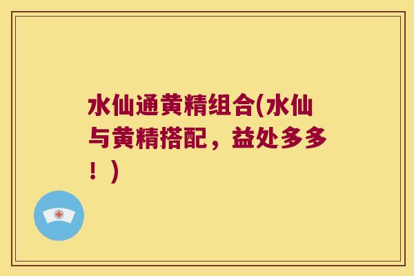 水仙通黄精组合(水仙与黄精搭配,益处多多!) 水仙通黄精组合(水仙与黄精搭配,益处多多!)
