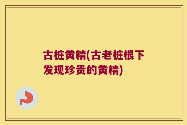 古桩黄精(古老桩根下发现珍贵的黄精)