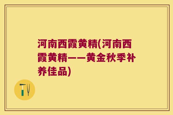河南西霞黄精(河南西霞黄精——黄金秋季补养佳品)