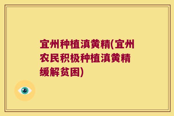宜州种植滇黄精(宜州农民积极种植滇黄精 缓解贫困)