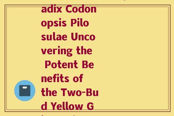 二苞黄精的拉丁文(Radix Codonopsis Pilosulae Uncovering the Potent Benefits of the Two-Bud Yellow Ginseng)