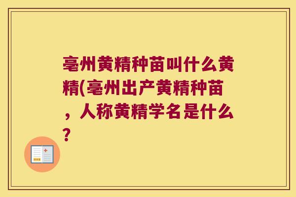 亳州黄精种苗叫什么黄精(亳州出产黄精种苗,人称黄精学名是什么? 亳州黄精种苗叫什么黄精(亳州出产黄精种苗,人称黄精学名是什么?