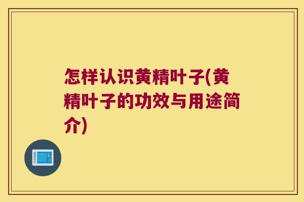 怎样认识黄精叶子(黄精叶子的功效与用途简介)