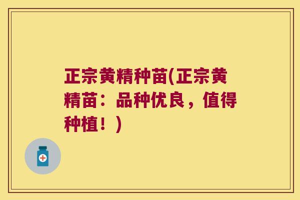正宗黄精种苗(正宗黄精苗：品种优良，值得种植！)