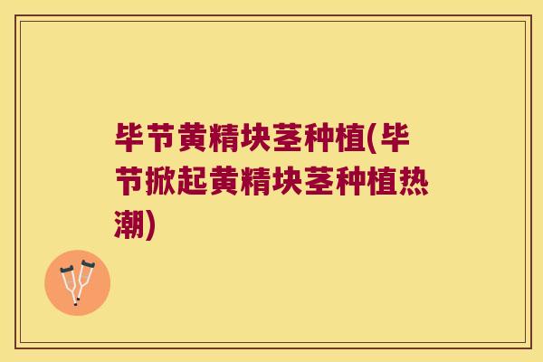 毕节黄精块茎种植(毕节掀起黄精块茎种植热潮) 毕节黄精块茎种植(毕节掀起黄精块茎种植热潮)