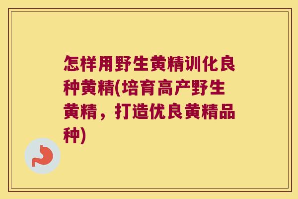 怎样用野生黄精训化良种黄精(培育高产野生黄精，打造优良黄精品种)