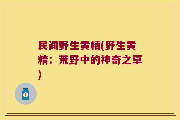 民间野生黄精(野生黄精：荒野中的神奇之草)