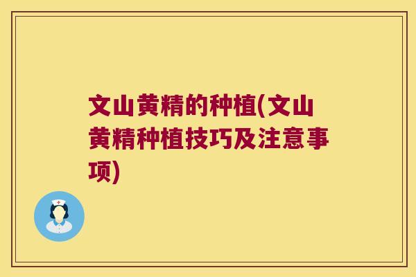 文山黄精的种植(文山黄精种植技巧及注意事项)