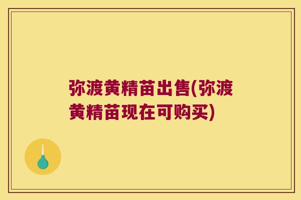 弥渡黄精苗出售(弥渡黄精苗现在可购买) 弥渡黄精苗出售(弥渡黄精苗现在可购买)