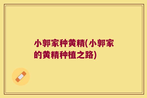 小郭家种黄精(小郭家的黄精种植之路) 小郭家种黄精(小郭家的黄精种植之路)