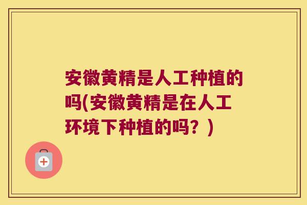 安徽黄精是人工种植的吗(安徽黄精是在人工环境下种植的吗?) 安徽黄精是人工种植的吗(安徽黄精是在人工环境下种植的吗?)