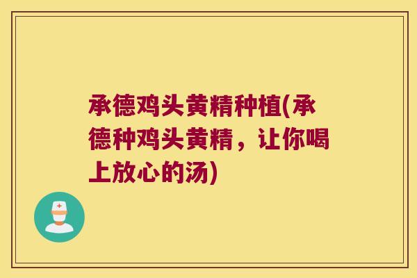 承德鸡头黄精种植(承德种鸡头黄精，让你喝上放心的汤)