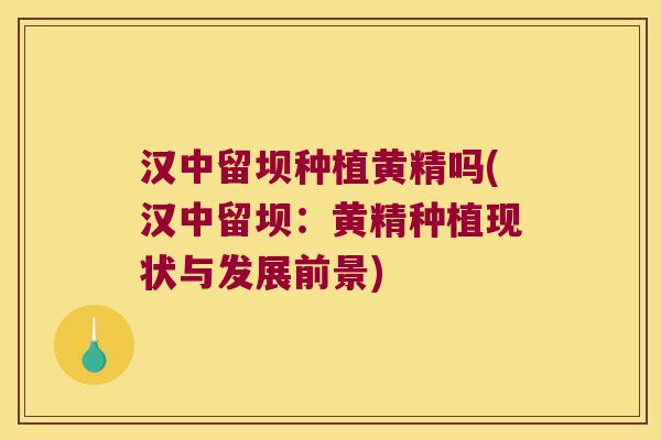 汉中留坝种植黄精吗(汉中留坝:黄精种植现状与发展前景) 汉中留坝种植黄精吗(汉中留坝:黄精种植现状与发展前景)