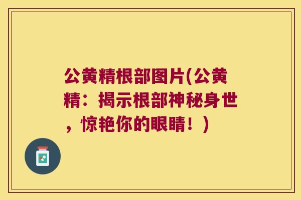 公黄精根部图片(公黄精:揭示根部神秘身世,惊艳你的眼睛!) 公黄精根部图片(公黄精:揭示根部神秘身世,惊艳你的眼睛!)
