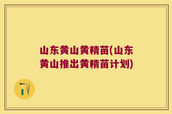 山东黄山黄精苗(山东黄山推出黄精苗计划)