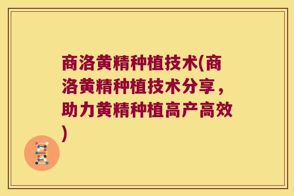 商洛黄精种植技术(商洛黄精种植技术分享，助力黄精种植高产高效)