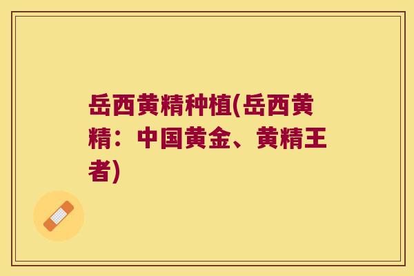 岳西黄精种植(岳西黄精:中国黄金、黄精王者) 岳西黄精种植(岳西黄精:中国黄金、黄精王者)