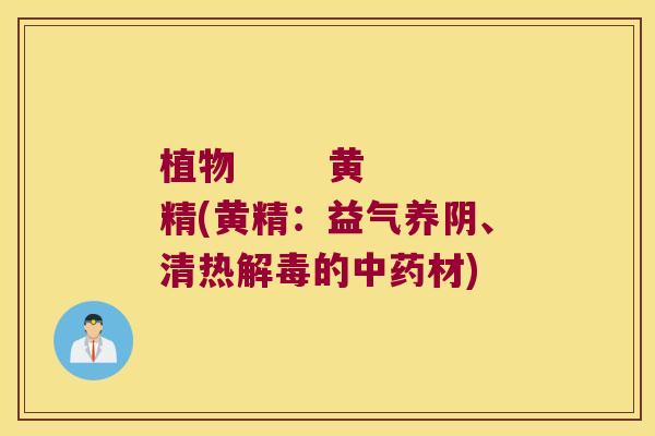 植物       黄精(黄精：益气养阴、清热的材)