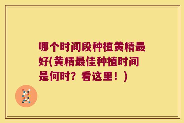 哪个时间段种植黄精好(黄精佳种植时间是何时?看这里!) 哪个时间段种植黄精好(黄精佳种植时间是何时?看这里!)
