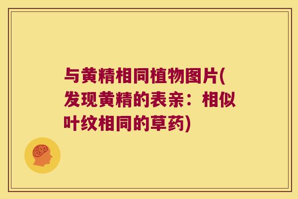 与黄精相同植物图片(发现黄精的表亲：相似叶纹相同的草药)