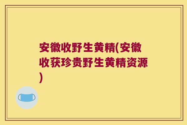 安徽收野生黄精(安徽收获珍贵野生黄精资源)