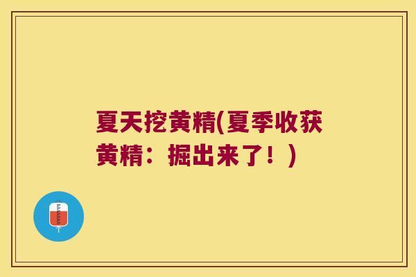 夏天挖黄精(夏季收获黄精：掘出来了！)