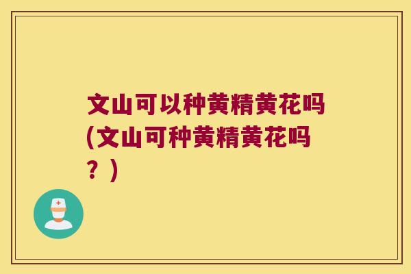 文山可以种黄精黄花吗(文山可种黄精黄花吗？)