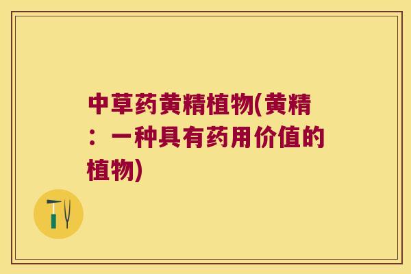 中草药黄精植物(黄精:一种具有药用价值的植物) 中草药黄精植物(黄精:一种具有药用价值的植物)