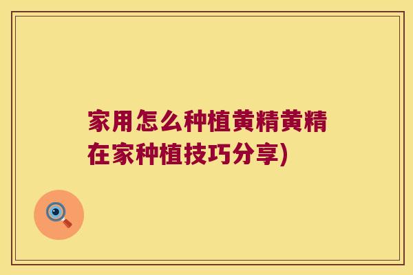 家用怎么种植黄精黄精在家种植技巧分享) 家用怎么种植黄精黄精在家种植技巧分享)