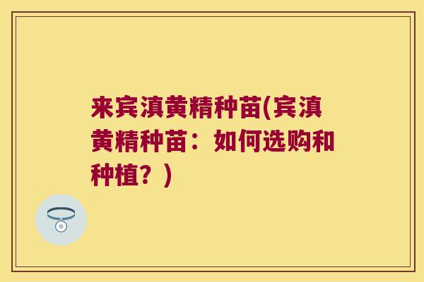 来宾滇黄精种苗(宾滇黄精种苗:如何选购和种植?) 来宾滇黄精种苗(宾滇黄精种苗:如何选购和种植?)