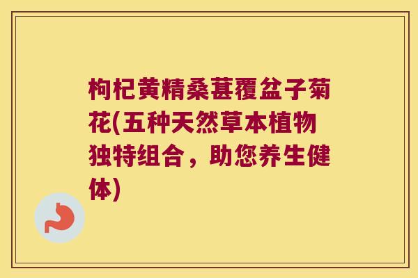 枸杞黄精桑葚覆盆子菊花(五种天然草本植物独特组合，助您养生健体)