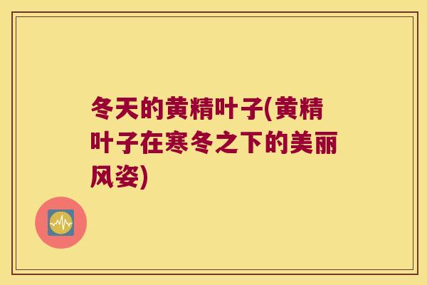 冬天的黄精叶子(黄精叶子在寒冬之下的美丽风姿) 冬天的黄精叶子(黄精叶子在寒冬之下的美丽风姿)