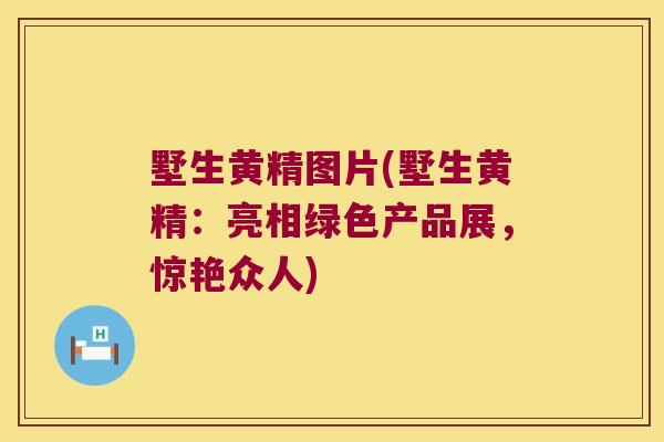 墅生黄精图片(墅生黄精：亮相绿色产品展，惊艳众人)