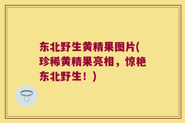 东北野生黄精果图片(珍稀黄精果亮相,惊艳东北野生!) 东北野生黄精果图片(珍稀黄精果亮相,惊艳东北野生!)