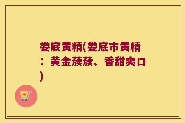 娄底黄精(娄底市黄精:黄金蔟蔟、香甜爽口) 娄底黄精(娄底市黄精:黄金蔟蔟、香甜爽口)