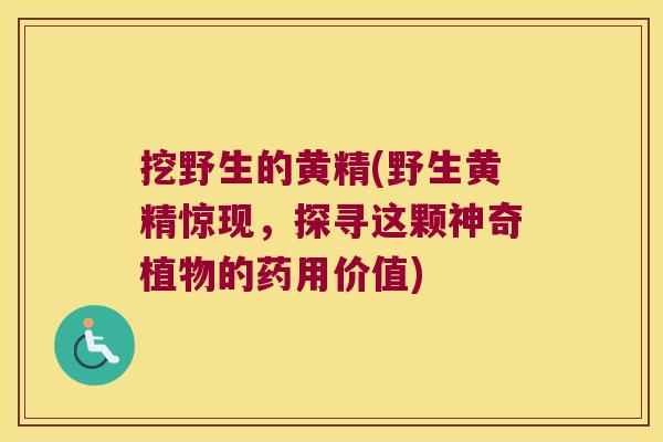 挖野生的黄精(野生黄精惊现，探寻这颗神奇植物的药用价值)